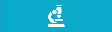 Learn more about our research.