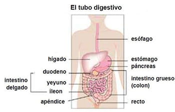 Crohn's Disease.