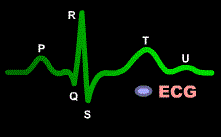 ECG, EKG or electrocardiogram.