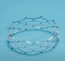 A minimally invasive cardiac stent designed to expand as younger patients grow.