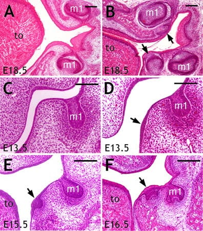 patterning-visual2-450