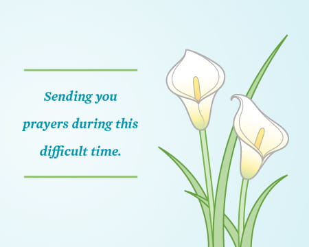 384407_Bereavement e-cards_FINAL_6
