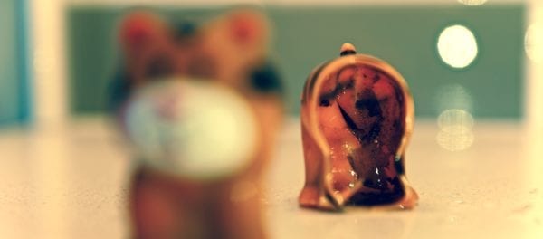 Moldy Bath Toys: How Dangerous Are They?