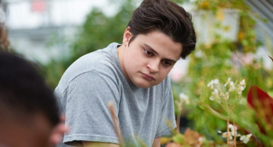 Helping Children Cope After a Traumatic Event