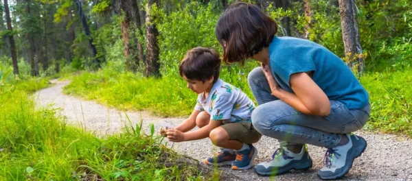 Poisonous and Nonpoisonous Plants: What Every Family Should Know
