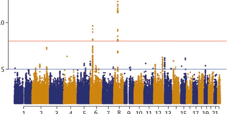 Common Genetic Variant Found for Pulmonary Arterial Hypertension