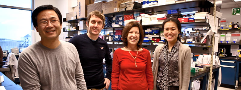 Inhibiting MEK Protein Shrinks NF1 Plexiform Tumors