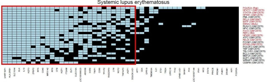 Lupus-heat-map-1024x314.jpg ‘Mono’ Virus Linked to Seven Serious Diseases