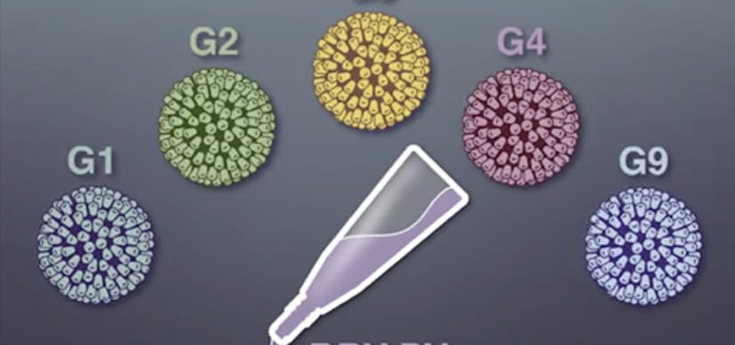 New Heat-Stable Rotavirus Vaccine Shows Efficacy in Niger