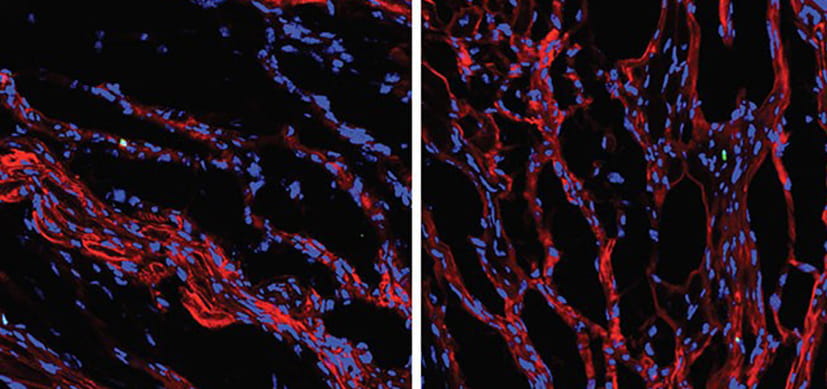 Teaching an Old Dogma New Tricks