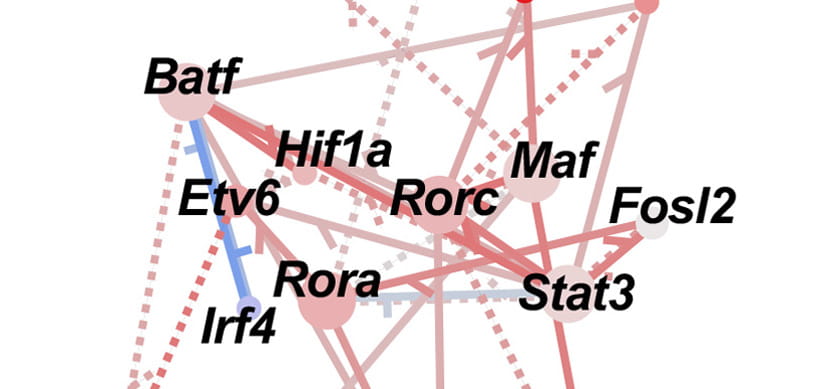 A New Way to Map Cell Regulatory Networks