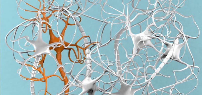 An Amazing Journey to Explore the Mind