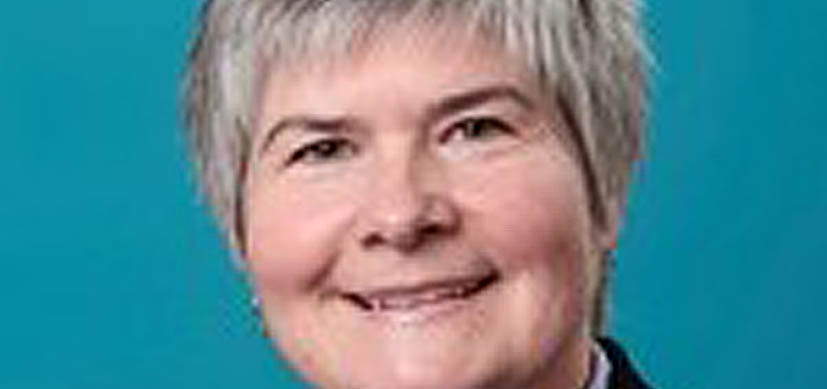 How Some Liver Cells Switch Identities to Build Missing Bile Ducts