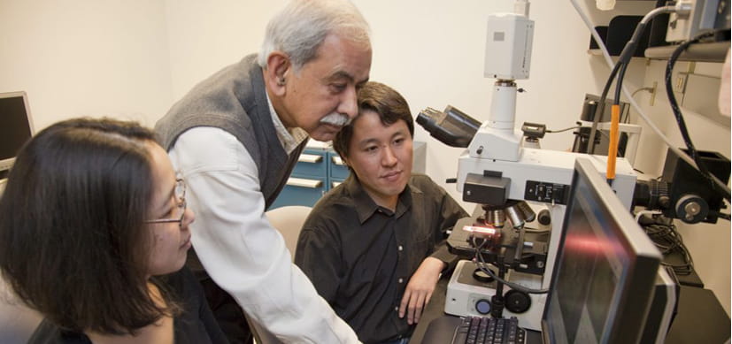 Potential New Target Emerges for Preventing Preterm Birth