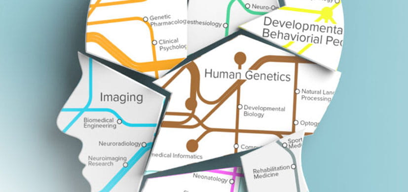 Reimagining How We Think About Our Brains