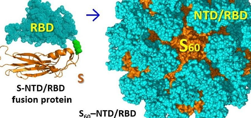 Cincinnati Children’s Launches 6 COVID-19 Research Projects