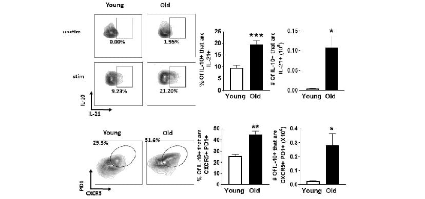New Concept for Boosting Flu Vaccine Power Also Might Apply to Future COVID-19 Vaccines