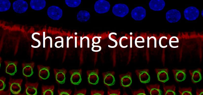 COVID-19 School Study in JAMA Tops Most-Shared Findings From July 2020