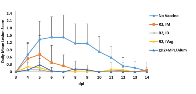 ‘R2’ Herpes Vaccine Shows Promise