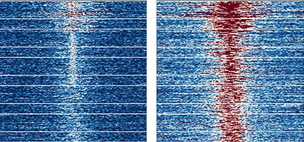 Gene Targeting Reveals Combination Therapy That May Help Overcome mTOR Drug Resistance in AML