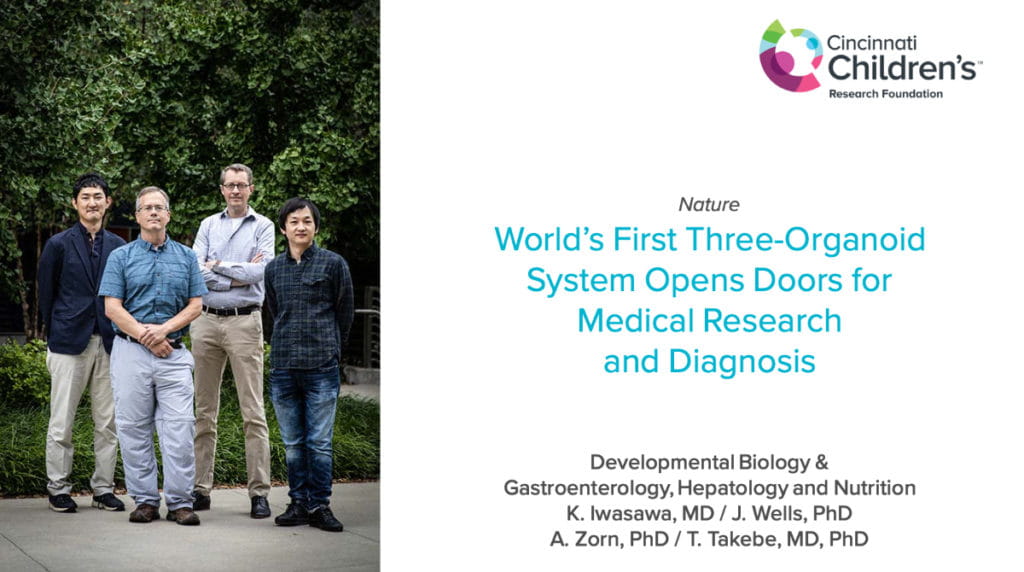 World’s First Three-Organoid System Opens Doors for Medical Research and Diagnosis