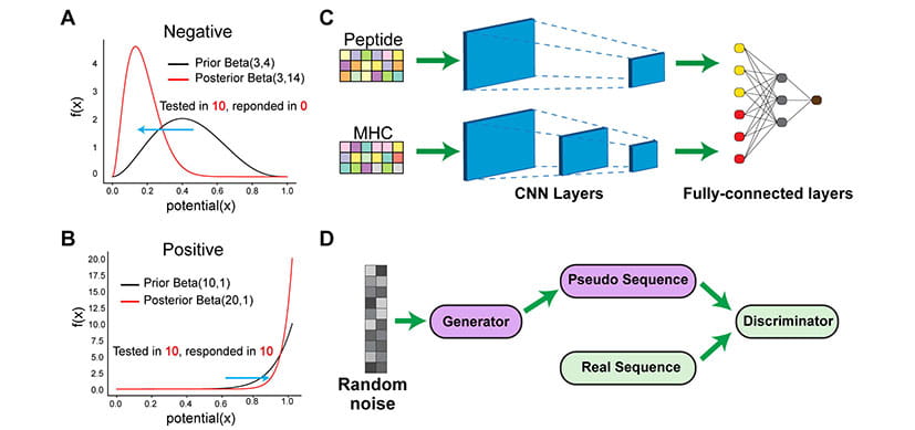 DeepImmuno: a Tool for Creating Custom T-cell Vaccines