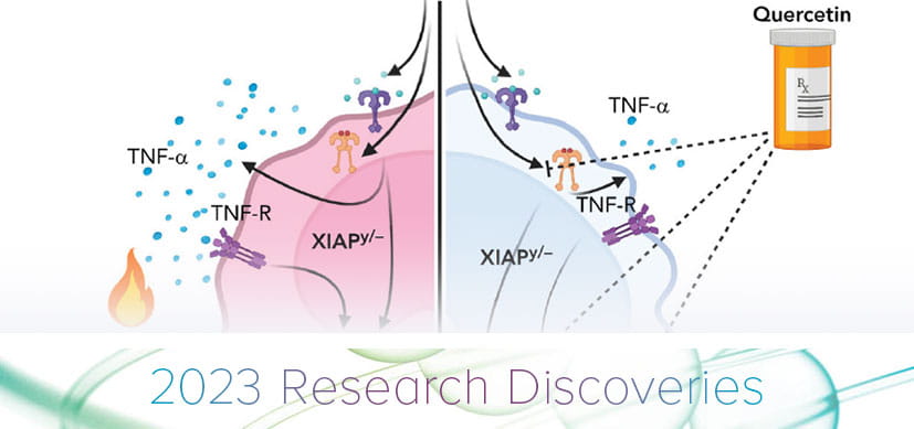 Quercetin Reduces XIAP Deficiency-Associated Hyperinflammation