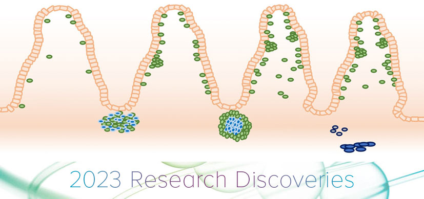 A New First: Creating Organoids with Immune Systems