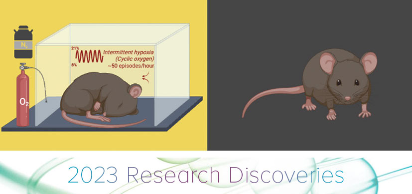 OSA Linked with Tissue-Specific Changes in Circadian Rhythms
