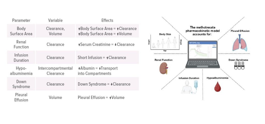 MTXPK.org Model Now Calibrated for Diverse Populations