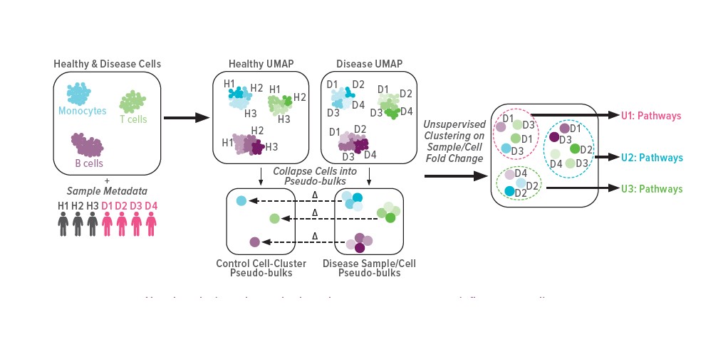 UDON Method Reveals Shared Gene Programs Across Inflammatory Diseases