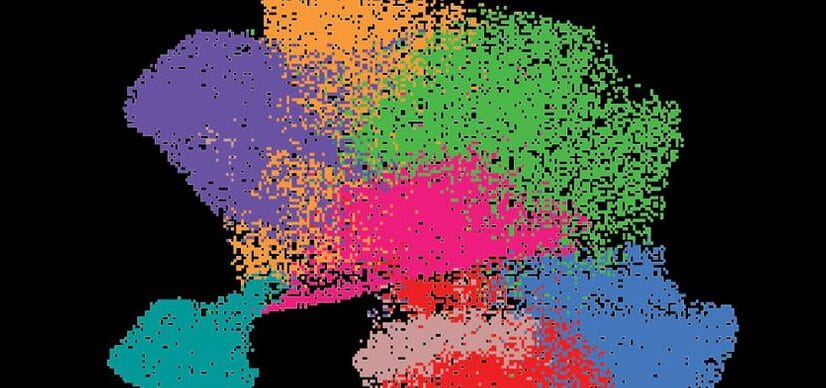 Overactive Natural Killer Cells Linked to Asthma Progression