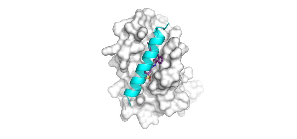 How “ceSAR” Picks the Best Molecules from a Drug Discovery Salad – Really Fast