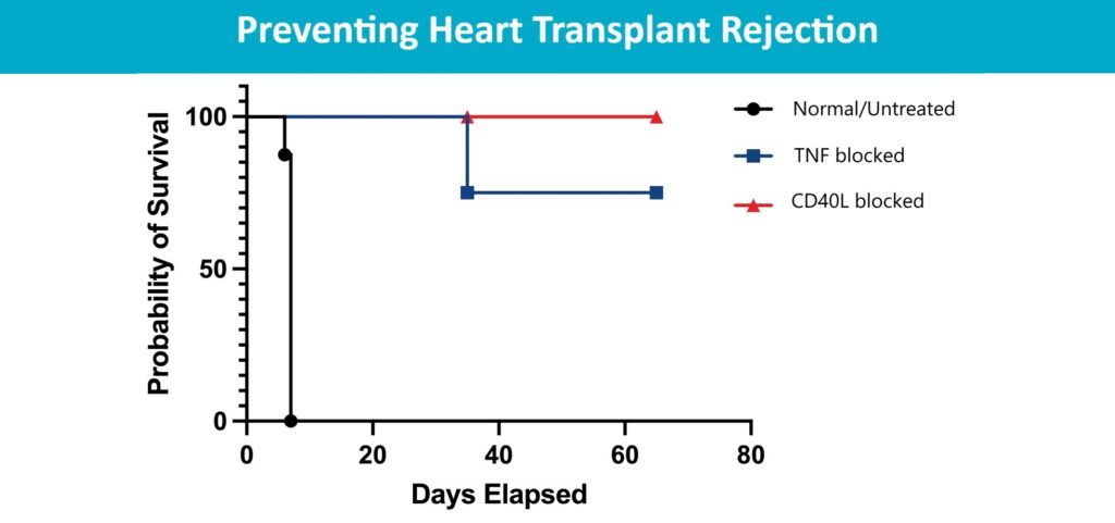Transplant-chart-THUMB-1024x481.jpg Pre-Surgical Antibody Treatment Might Prevent Heart Transplant Rejection