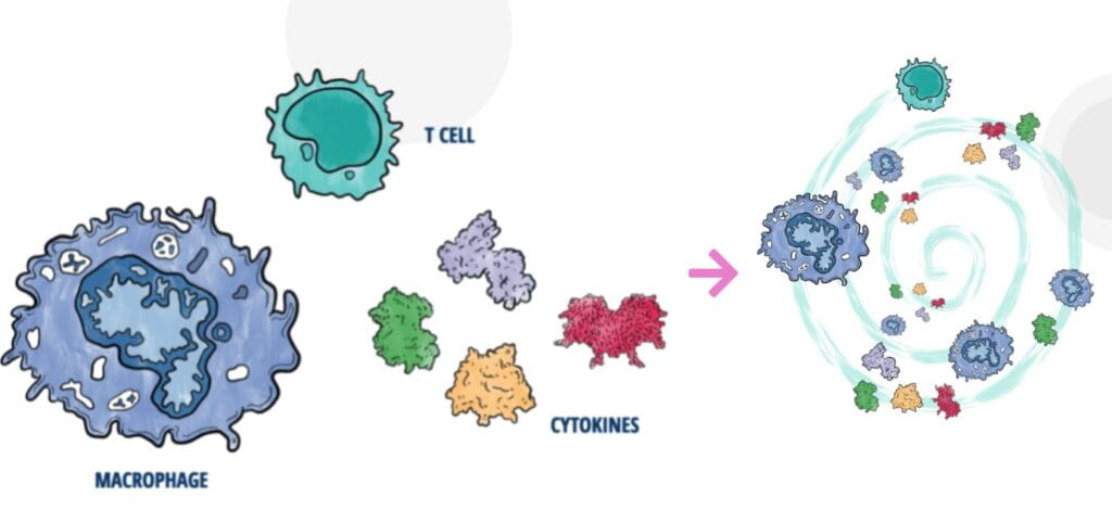 Emapalumab Extends ‘Intervention-Free’ Survival for Children with HLH