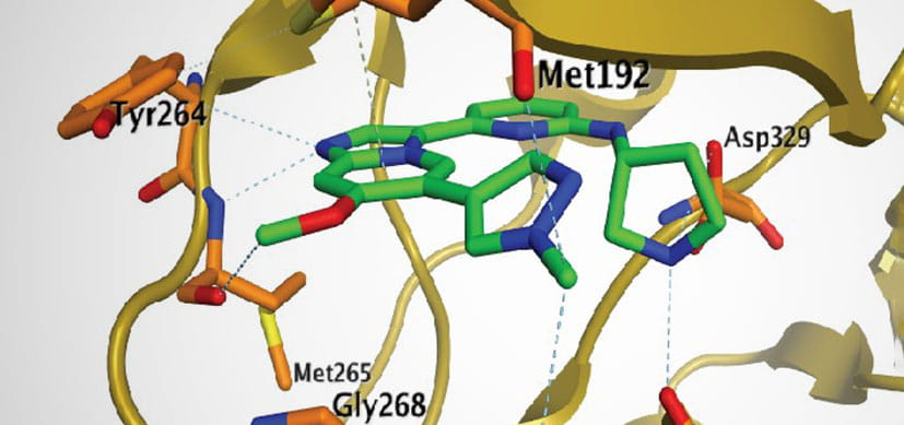 The Long Journey of a Small Molecule of Hope