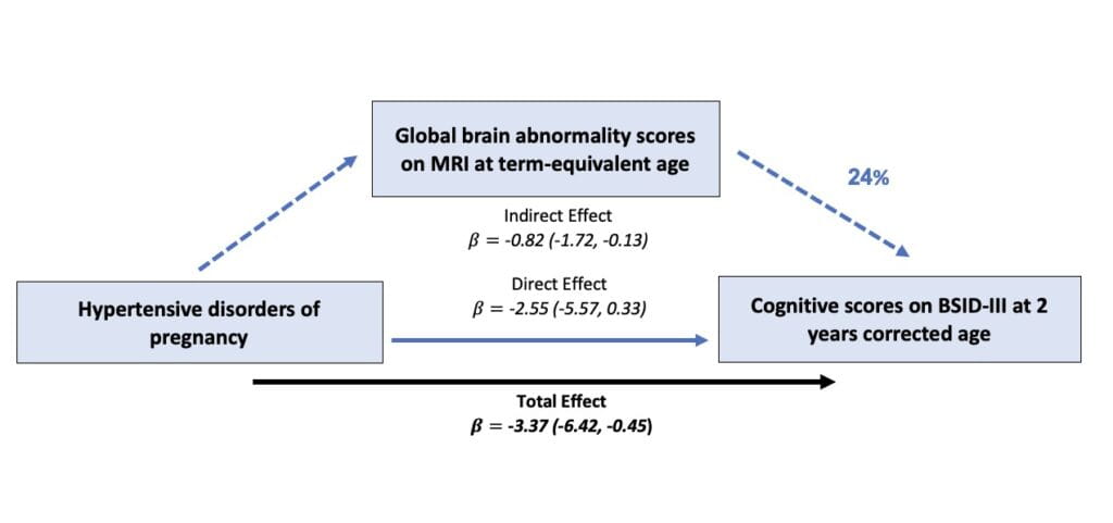 Mom’s Hypertension Can Affect Preterm Infant Brain and Neurodevelopment