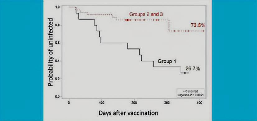 Nasal COVID Vax Shows Promise in Phase 1 Clinical Trial