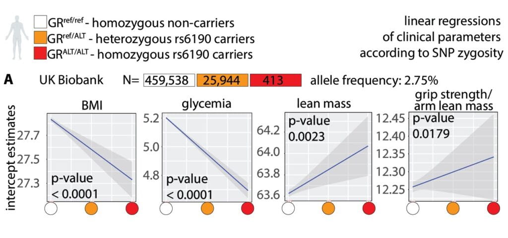 Two-Faced Gene Variant Appears Good for Men, Bad for Women