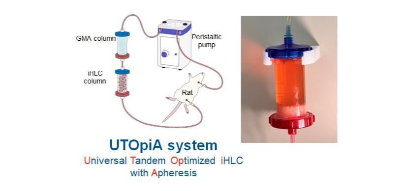 Novel ‘Bioartificial Liver’ Extends Survival in Preclinical Models of Advanced Liver Failure