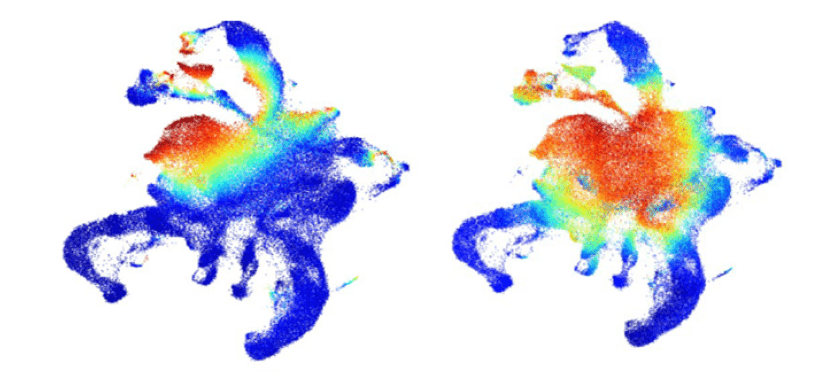 Rethinking How Bone Marrow Works