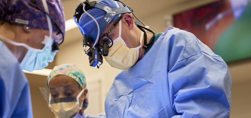 Blueprint for Transplanting Heart Valves that Grow with the Child