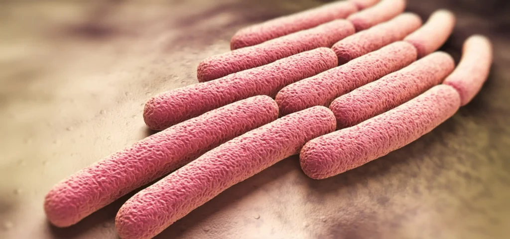 Clinical Trial of Shigella Vaccine Shows 89% Protection
