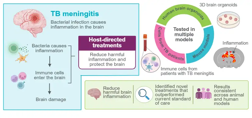 Study Points to New Strategy for TB Meningitis Care
