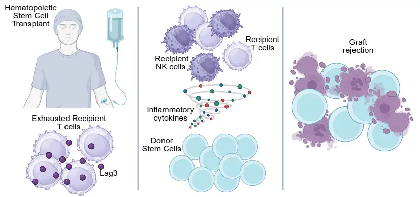 Improving Early Detection of Graft Rejection