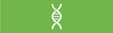Learn more about genetics.