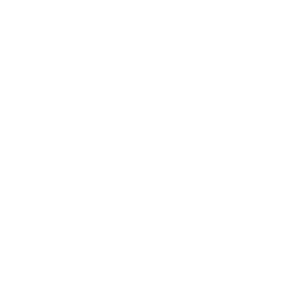 Culture Icon-two people shaking hands