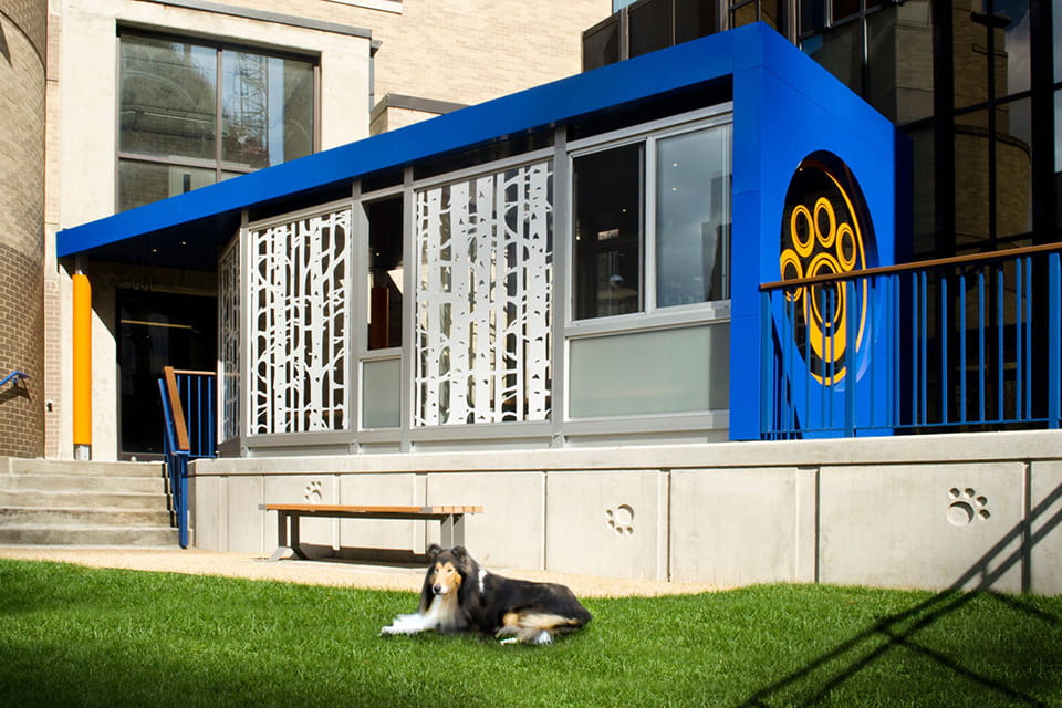 Cancer Free KIDS and Impact 100 Family Pet Center.