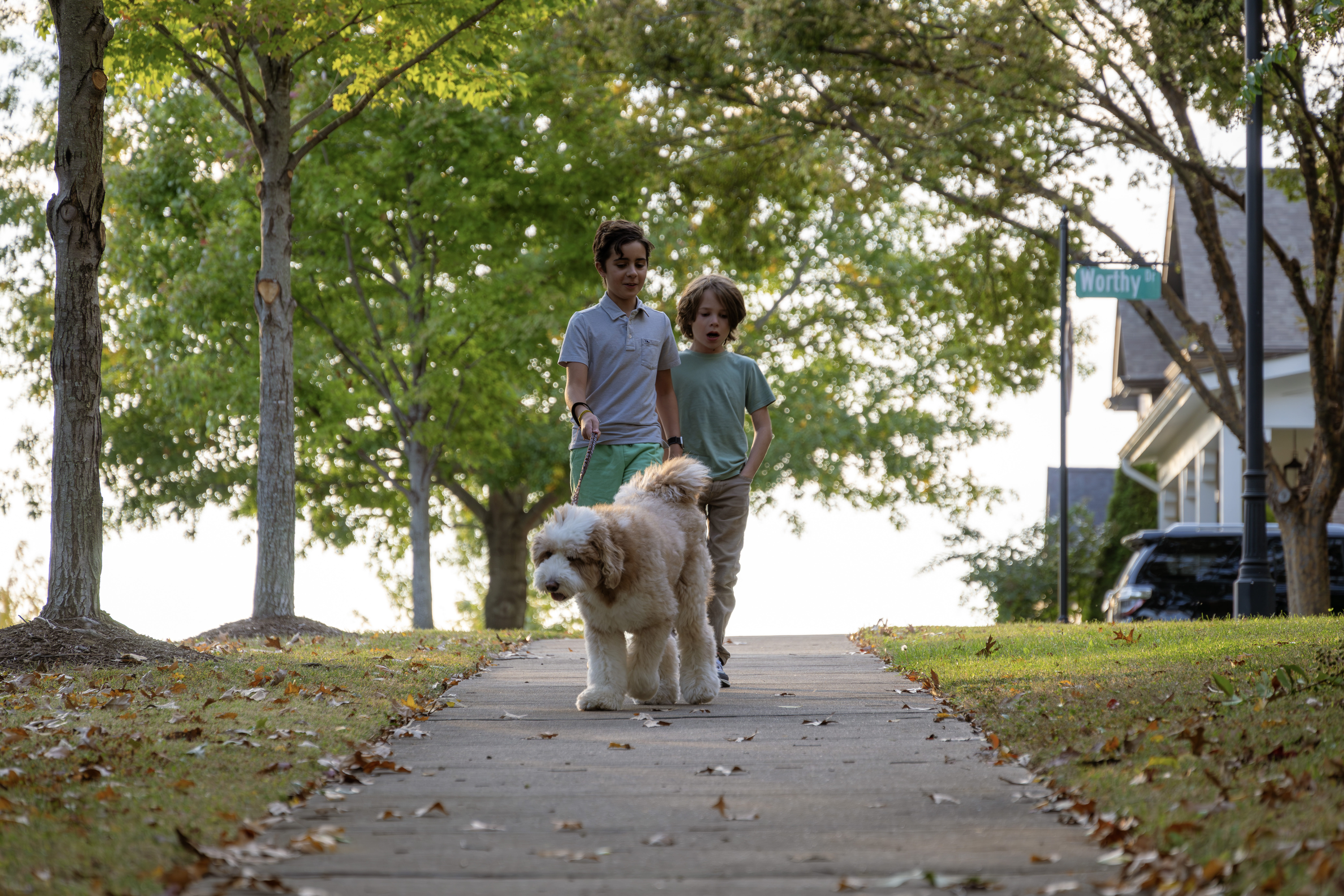 Atticus walks a dog.