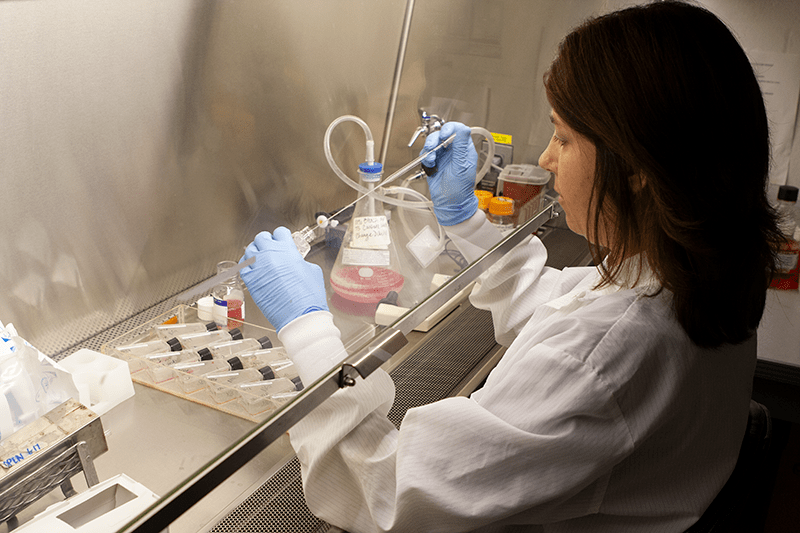 A clinical lab member working.
